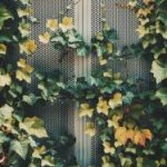 亚博娱乐网页版用户指南:新手必知的操作技巧与注意事项 37lrkhfols