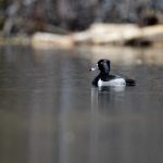 了解财神娱乐平台注册网站的优惠活动与奖励机制 7m52y1zv