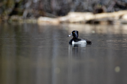 了解财神娱乐平台注册网站的优惠活动与奖励机制