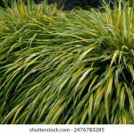 亿万28官网:探索在线娱乐平台的无限可能性与乐趣 e0bzm1uy