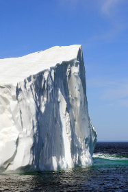 亚星官网222的最新产品发布与市场动态分析