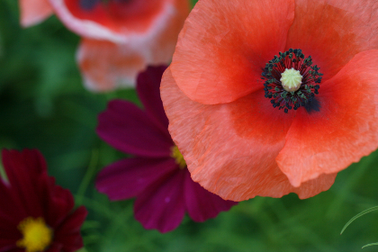 了解老虎机的运作原理:让你更聪明地下注