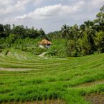 享受首存彩金优惠,开启你的在线博彩之旅 mrshk