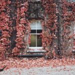 亿万娱乐28:探索全新娱乐体验的无限可能性 ql39m0h6av