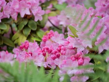 亿兆体育平台官网的最新活动与优惠信息一览