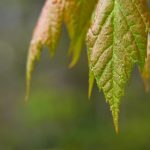 亲子假日娱乐:与孩子一起享受快乐时光的最佳选择 t72rg