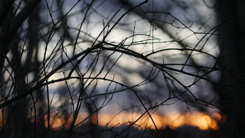 云顶赌场的游戏攻略:新手玩家必备的技巧与建议