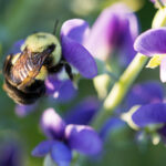 360足球无插件高清直播绿色安全观看体验 cj057qe1mp