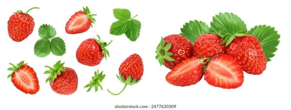 365天不间断直播:精彩内容全年无休